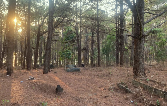 Đi qua đoạn đường vắng, bé gái 14 tuổi bị hiếp dâm- Ảnh 1.