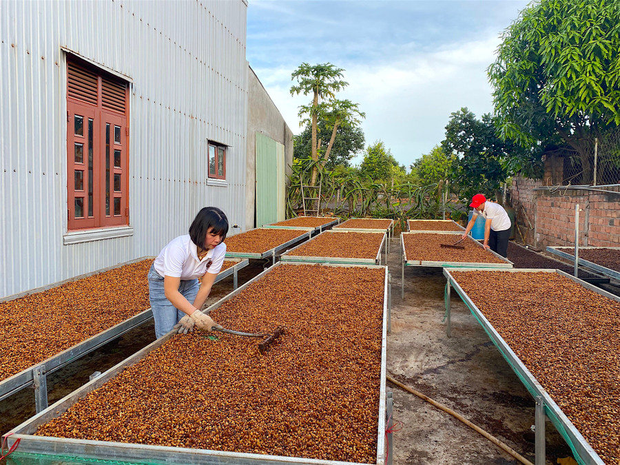 Gia Lai khuyến khích các hộ kinh doanh chuyển đổi sang doanh nghiệp gắn với việc tạo điều kiện về các thủ tục pháp lý và chính sách liên quan. Ảnh: M.T 1-528.jpg