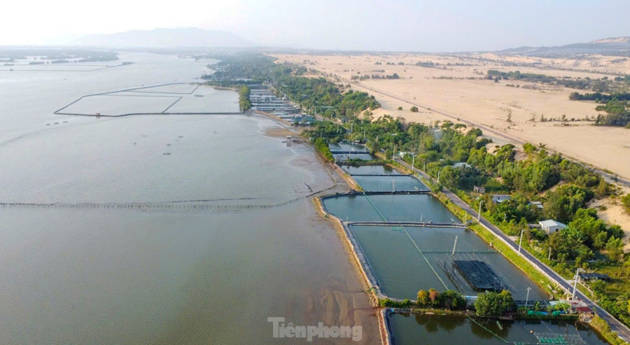 “Tỉnh Bình Định quyết định theo thẩm quyền việc xây dựng khu hành chính tại Khu Kinh tế Nhơn Hội bảo đảm phù hợp với tiêu chí, định mức sử dụng và quy định của pháp luật có liên quan, bảo đảm hiệu quả đầu tư, tránh lãng phí”, Thủ tướng yêu cầu. Ảnh: Trương Định