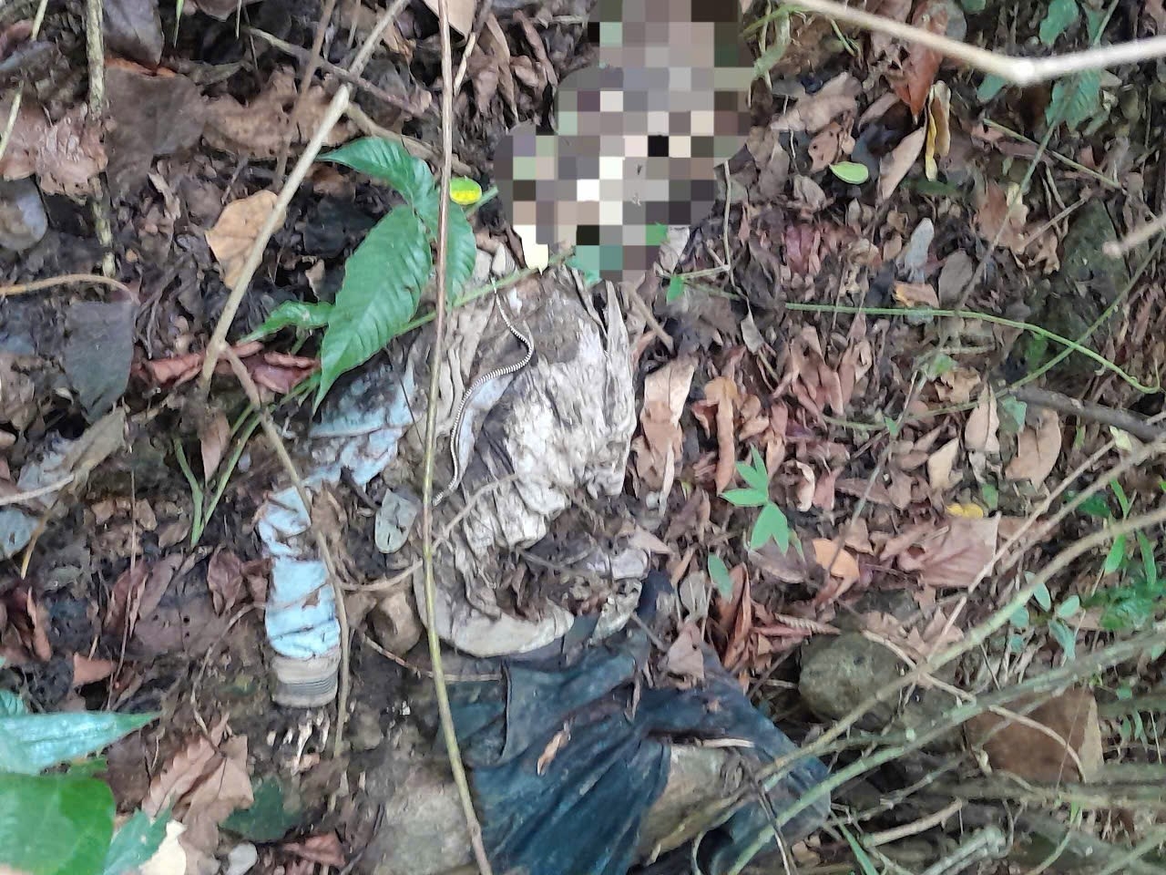 Bộ hài cốt được phát hiện dưới vực sâu cách đường đèo Bảo Lộc hàng chục mét