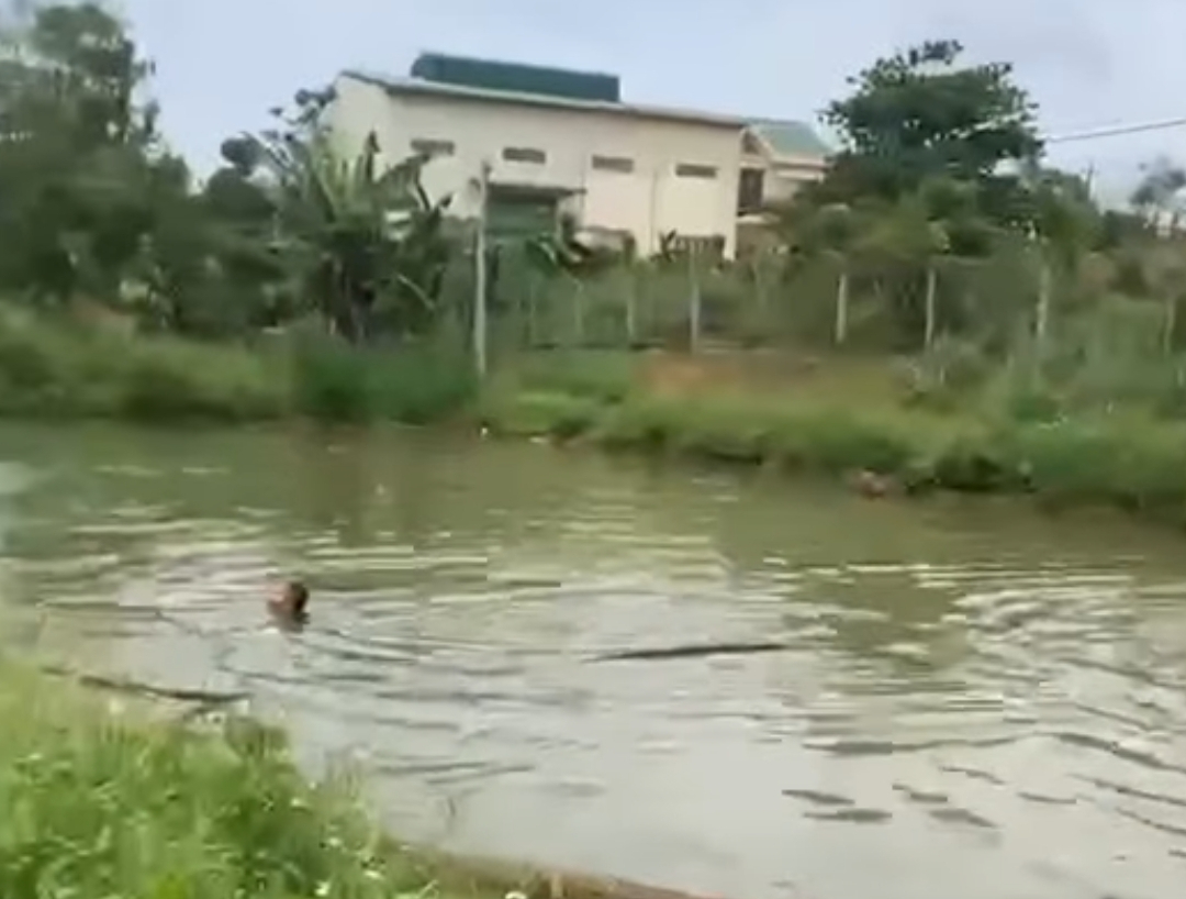 Hai cháu nhỏ chết đuối thương tâm dưới hồ nước tưới cà phê- Ảnh 1.