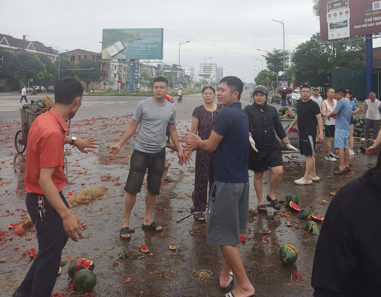 dưa hấu1.jpg