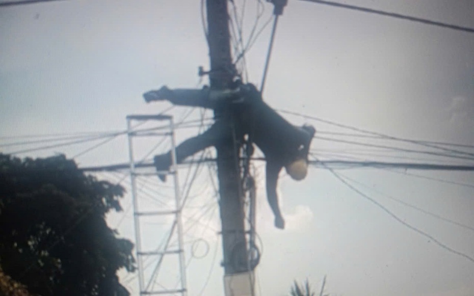 Trèo lên cột điện, người đàn ông bị điện giật tử vong