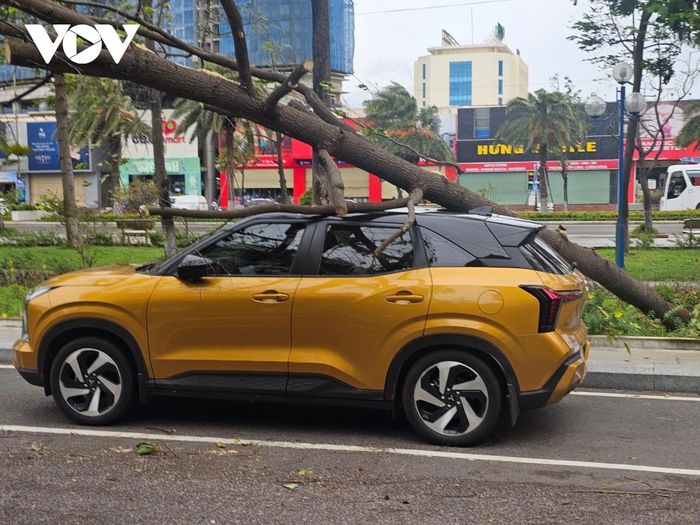 Cây xanh bật gốc đè lên xe ô tô