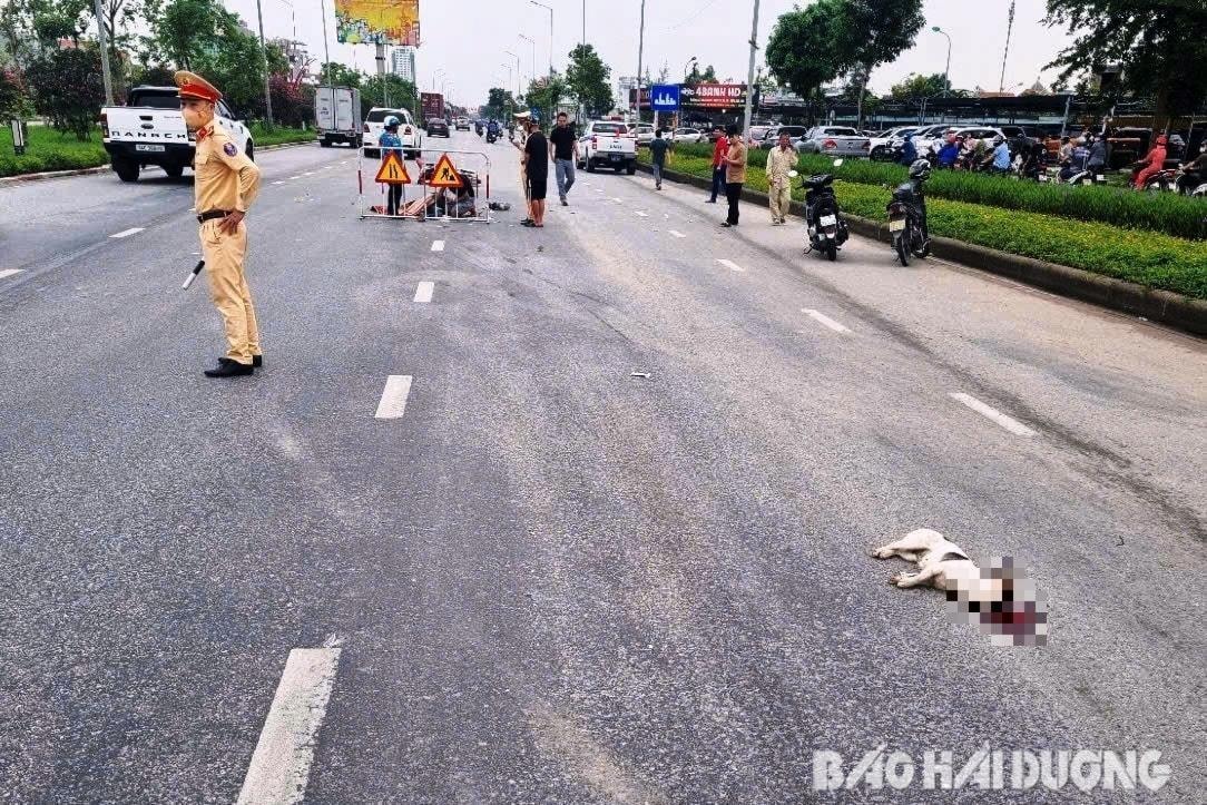 dung-de-thu-cung-tro-thanh-hiem-hoa-1-.jpg