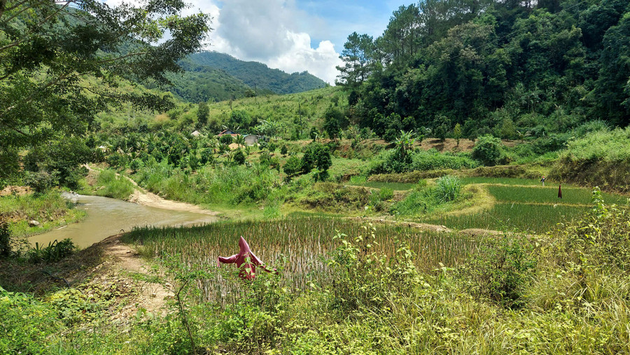 Một số hộ dân không thống nhất nhường đất làm thủy điện vì lo mất đất sản xuất. kon-tum-dan-khong-dong-y-nhuong-dat-xay-dung-thuy-dien-2.jpg