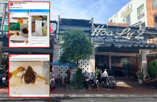 Làm rõ vụ gián xuất hiện trong món ăn tại một nhà hàng ở Gia Lai