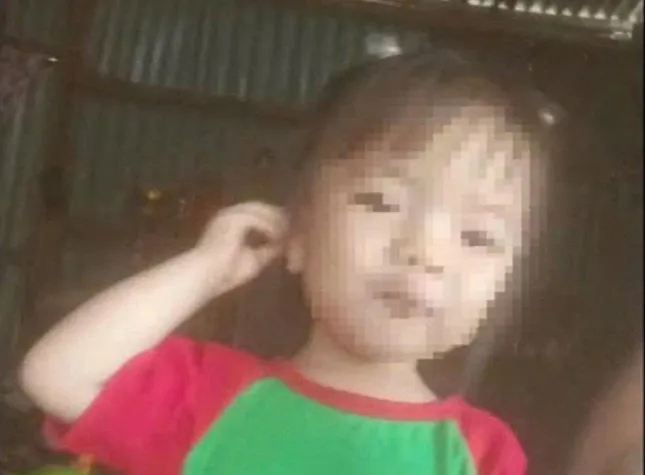 Tìm bé gái 2 tuổi mất tích bí ẩn ở Lâm Đồng ảnh 1