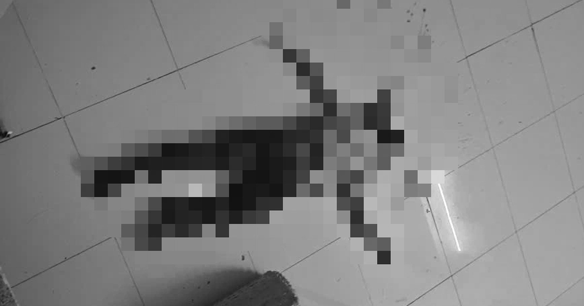 Thầy giáo tử vong ở tầng trệt bệnh viện