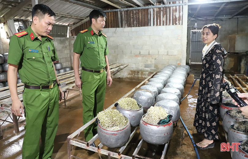 Lực lượng chức năng kiểm tra hiện trường khu vực trồng giá đỗ bqbht_br_luc-luong-chuc-nang-phat-hien-co-so-san-xuat-gia-do-co-su-dung-chat-cam.jpg