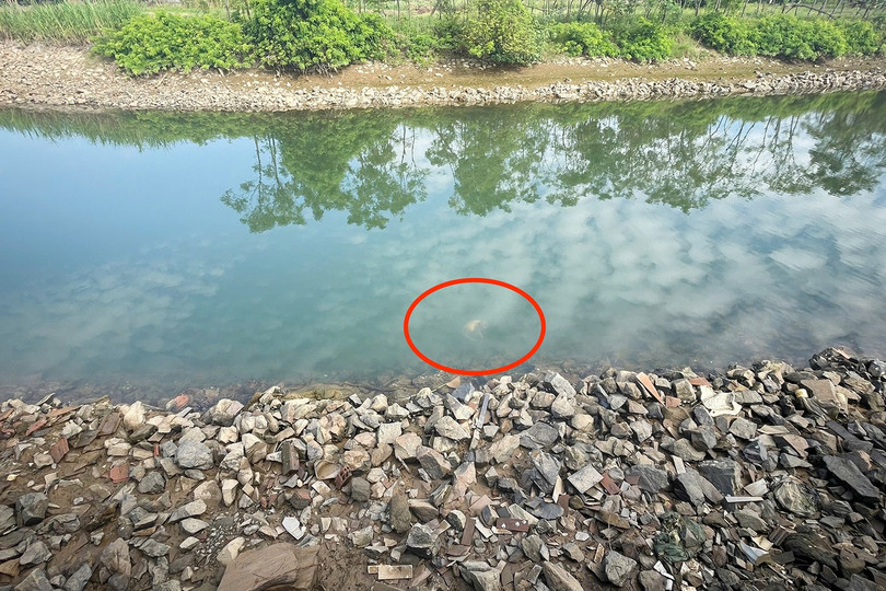 Khu vực phát hiện thi thể anh N.K.S. z7036977163132-9a75c5e42639434b110dca31ab322dbe.jpg