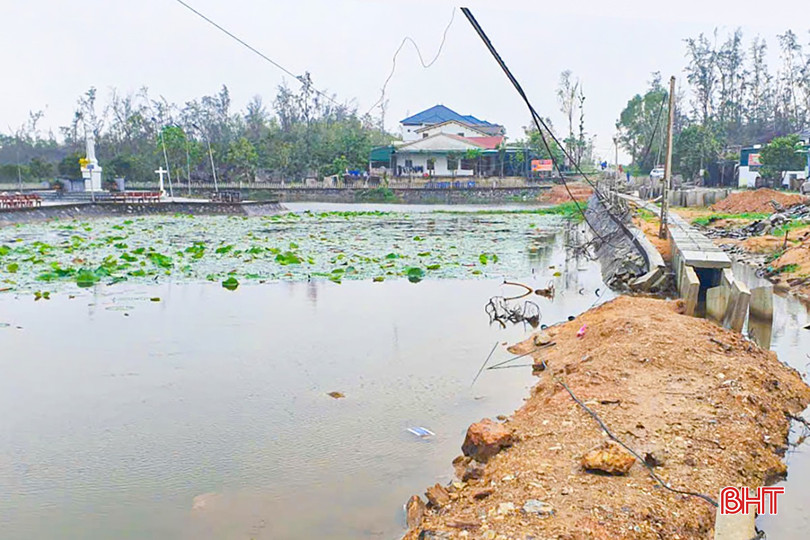 Khu vực ao sen nơi em Nguyễn Văn K. tới câu cá và bị điện giật. bqbht_br_1405790703893848785.jpg