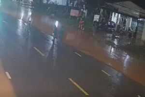 Tài xế ô tô tông chủ tịch xã tử vong khi đang làm nhiệm vụ là một phụ nữ