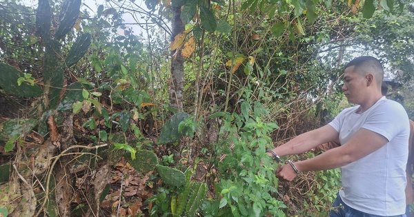 Ảnh minh họa: Thanh niên đi xe SH khống chế người phụ nữ, cướp vàng giữa đường vắng