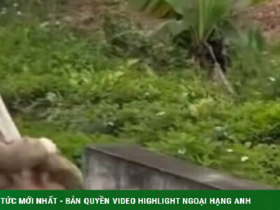 Ảnh minh họa: Danh tính người đàn ông kéo lê cô gái tại bến phà gây xôn xao