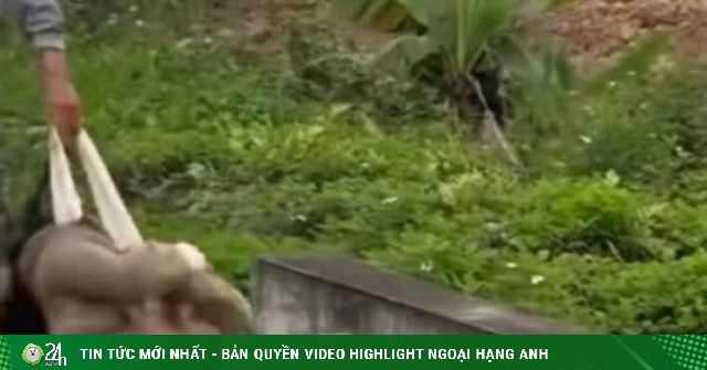 Ảnh minh họa: Công an Hải Phòng xác minh clip cô gái bị nam thanh niên kéo lê