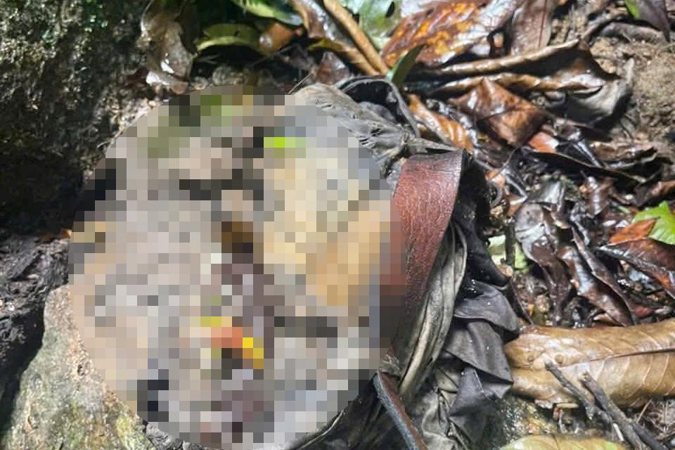 Ảnh minh họa: Ph