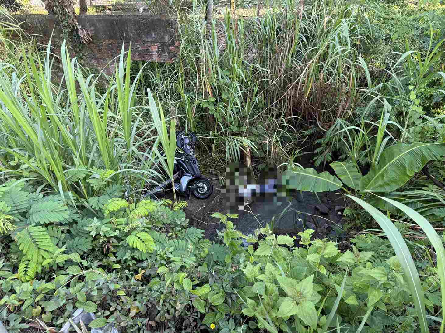 Ảnh minh họa: Phát hiện th