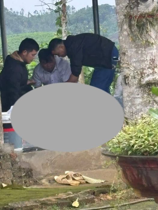 Ảnh minh họa: Hạ Hoà