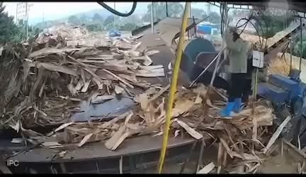 Ảnh minh họa: [ VIDEO] Người phụ nữ bị máy nghiền gỗ cuốn t