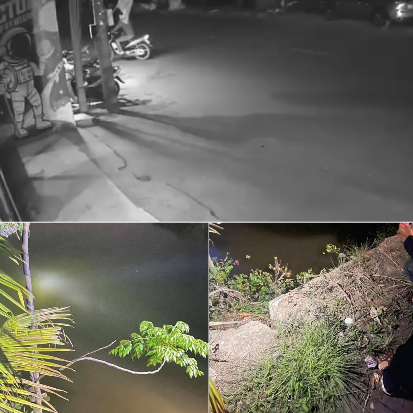 Ảnh minh họa: Hải Phòng