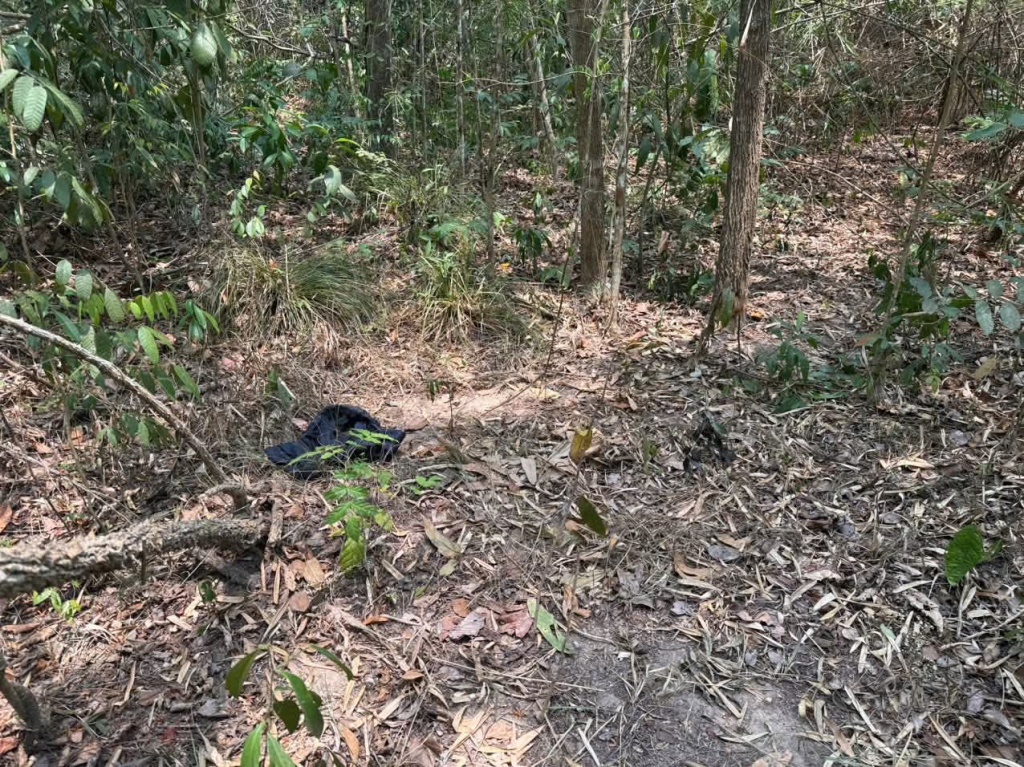 Ảnh minh họa: Phát hiện người đ;àn ô;ng ch;ết trong rừng phòng hộ Dầu Tiếng