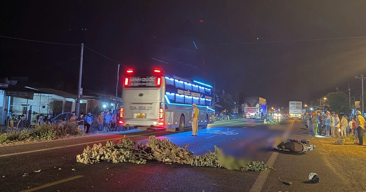 Ảnh minh họa: Gia Lai