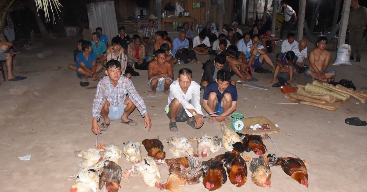 Ảnh minh họa: Triệt xoá tụ điểm đ