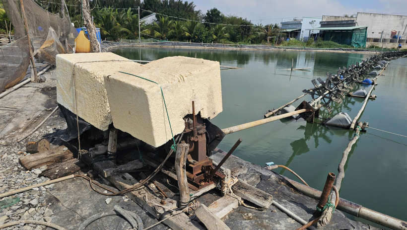 Ảnh minh họa: Người đàn ông t;ử v;ong bên máy quạt nước tại đầm tôm